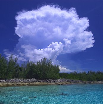 cloud on the rocks, nassau bahamas by Leon Joubert 